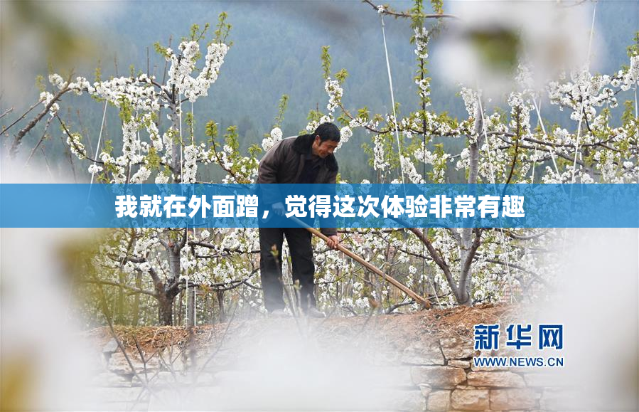 我就在外面蹭，觉得这次体验非常有趣