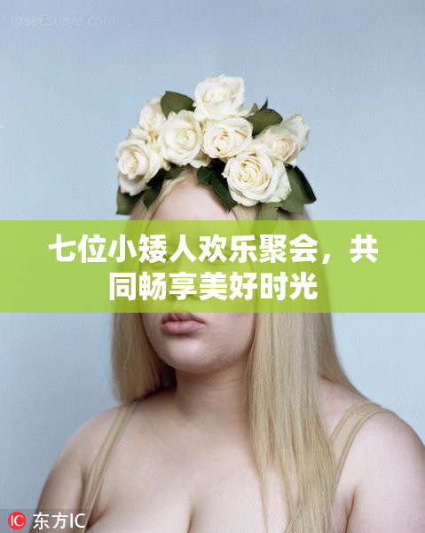 七位小矮人欢乐聚会，共同畅享美好时光
