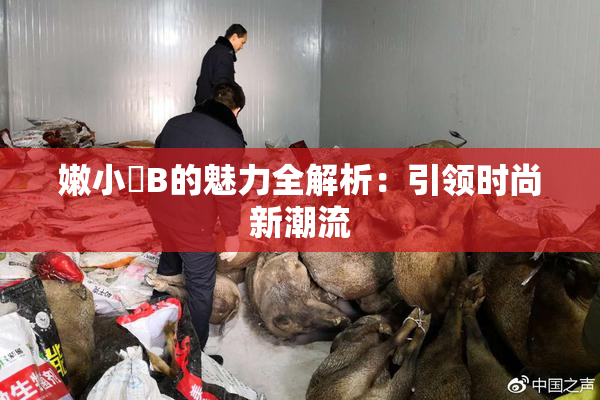 嫩小槡B的魅力全解析：引领时尚新潮流