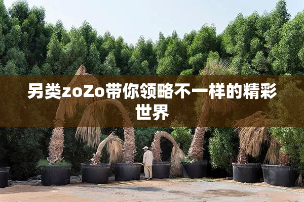 另类zoZo带你领略不一样的精彩世界