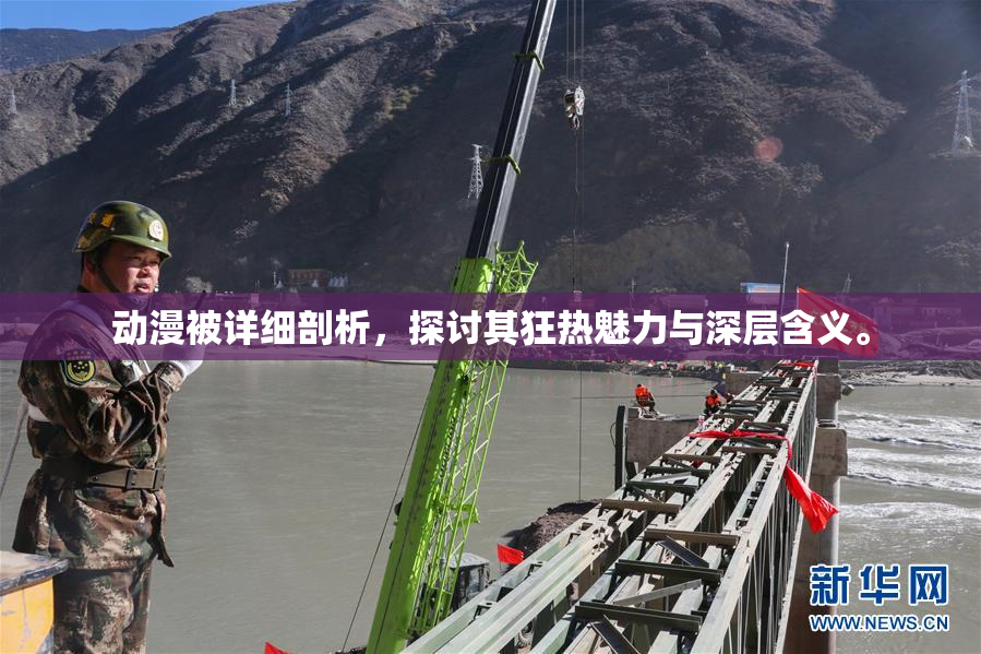 动漫被详细剖析，探讨其狂热魅力与深层含义。