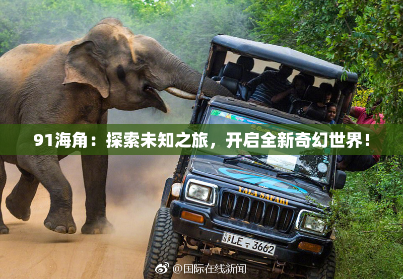 91海角：探索未知之旅，开启全新奇幻世界！