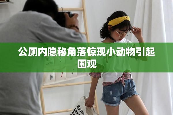 公厕内隐秘角落惊现小动物引起围观