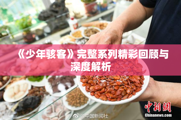 《少年骇客》完整系列精彩回顾与深度解析