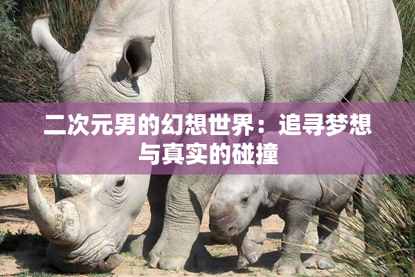二次元男的幻想世界：追寻梦想与真实的碰撞