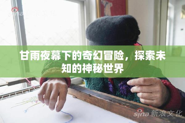 甘雨夜幕下的奇幻冒险，探索未知的神秘世界