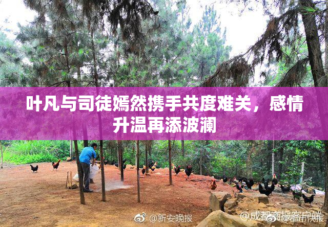 叶凡与司徒嫣然携手共度难关，感情升温再添波澜
