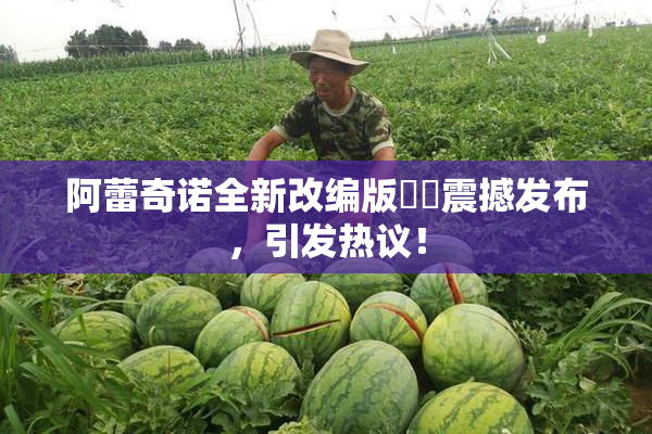 阿蕾奇诺全新改编版❌‌震撼发布，引发热议！