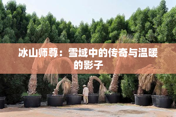 冰山师尊：雪域中的传奇与温暖的影子