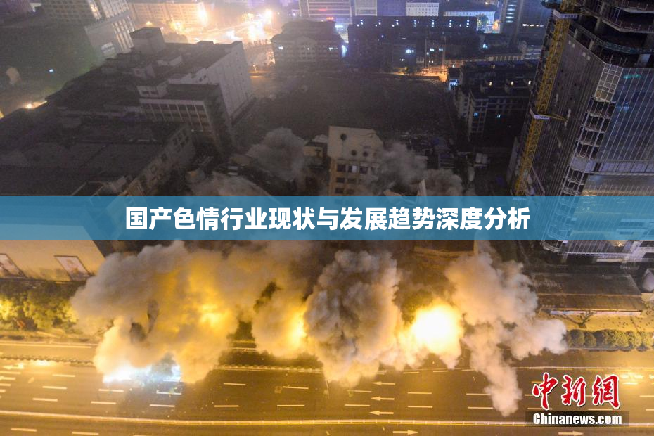 国产色情行业现状与发展趋势深度分析