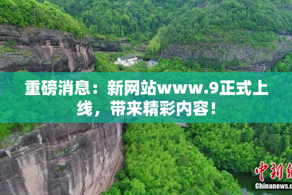 重磅消息：新网站www.9正式上线，带来精彩内容！