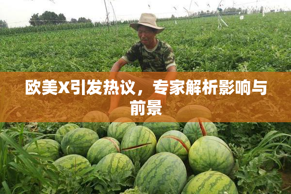 欧美X引发热议，专家解析影响与前景