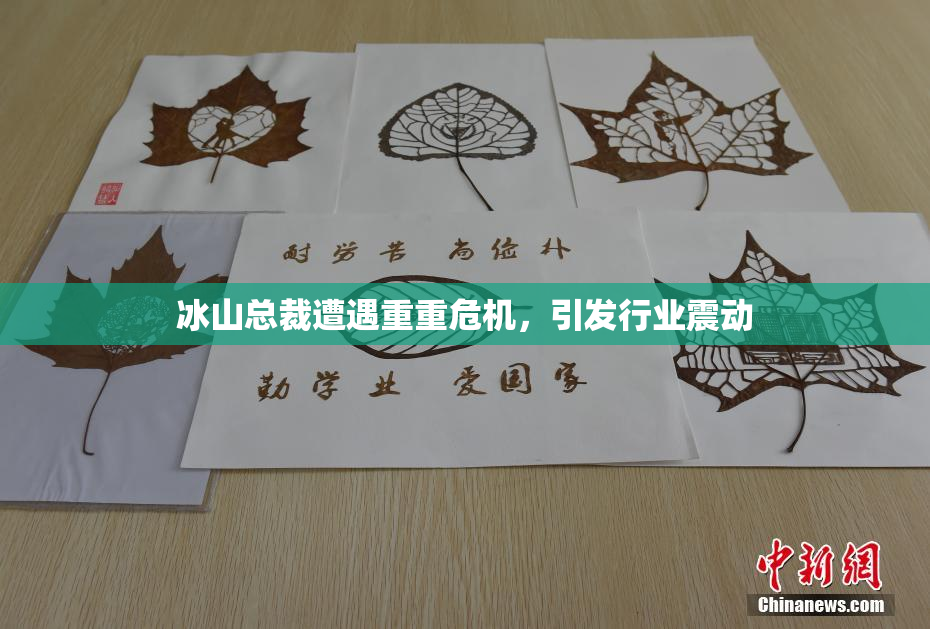 冰山总裁遭遇重重危机，引发行业震动