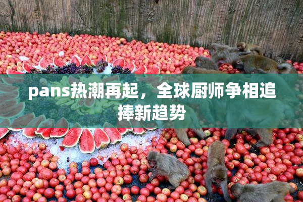 pans热潮再起，全球厨师争相追捧新趋势