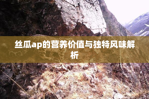 丝瓜ap的营养价值与独特风味解析