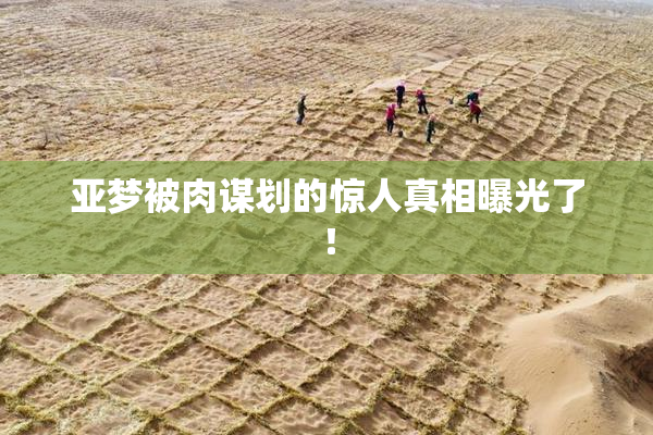 亚梦被肉谋划的惊人真相曝光了！