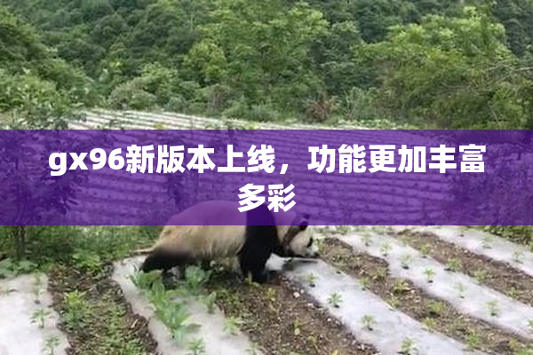 gx96新版本上线，功能更加丰富多彩
