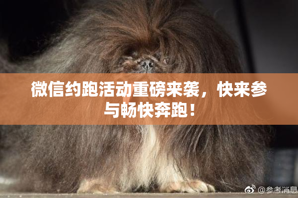 微信约跑活动重磅来袭，快来参与畅快奔跑！