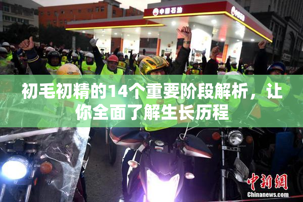 初毛初精的14个重要阶段解析，让你全面了解生长历程