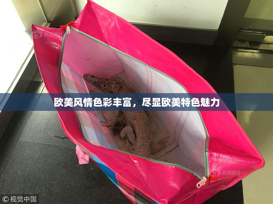 欧美风情色彩丰富，尽显欧美特色魅力