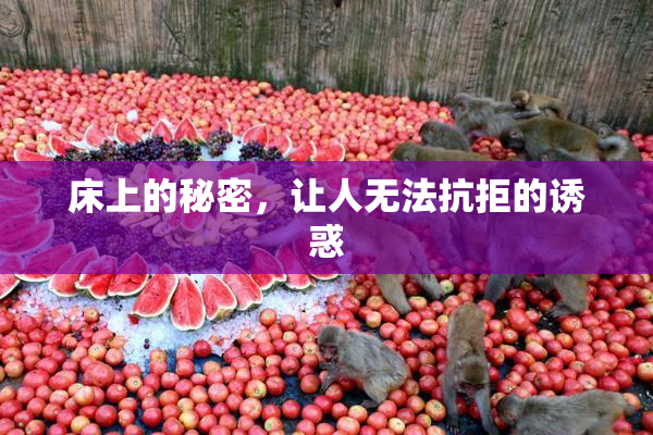 床上的秘密，让人无法抗拒的诱惑