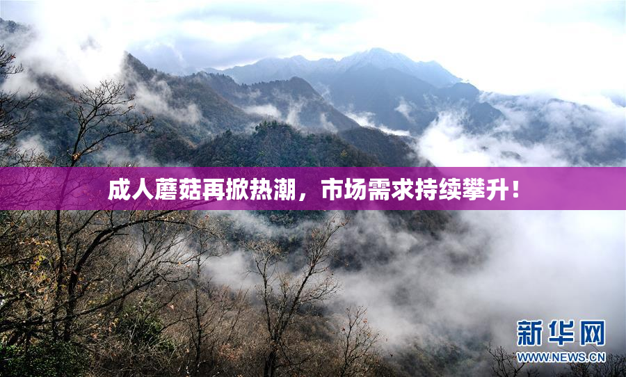 成人蘑菇再掀热潮，市场需求持续攀升！