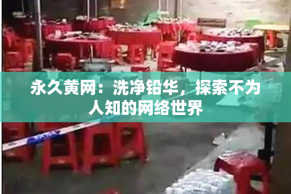 永久黄网：洗净铅华，探索不为人知的网络世界