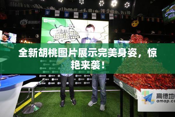 全新胡桃图片展示完美身姿，惊艳来袭！