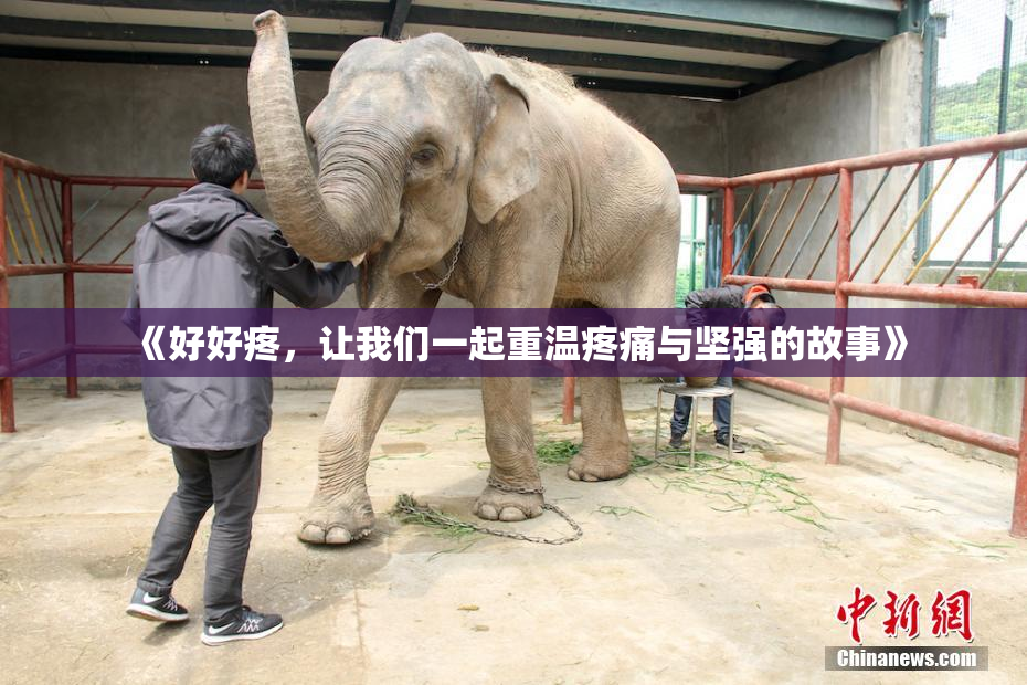 《好好疼，让我们一起重温疼痛与坚强的故事》