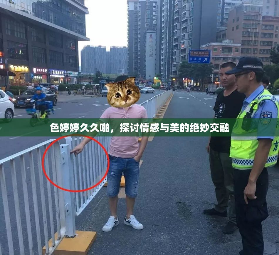 色婷婷久久啪，探讨情感与美的绝妙交融