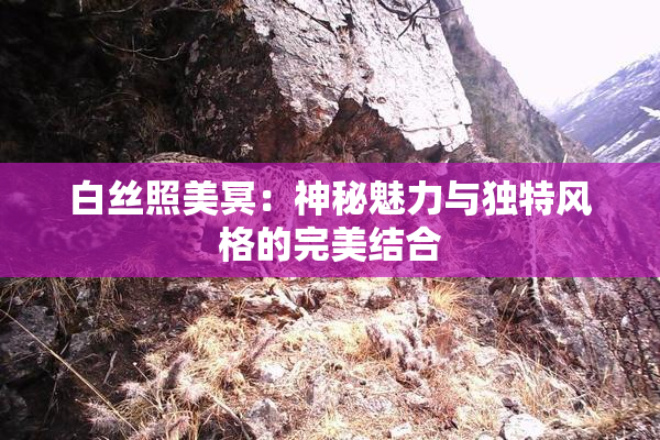 白丝照美冥：神秘魅力与独特风格的完美结合