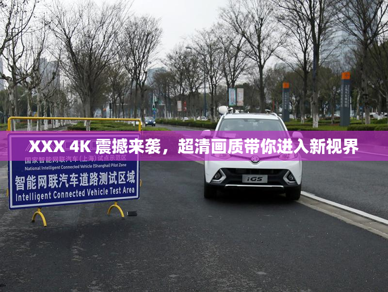 XXX 4K 震撼来袭，超清画质带你进入新视界