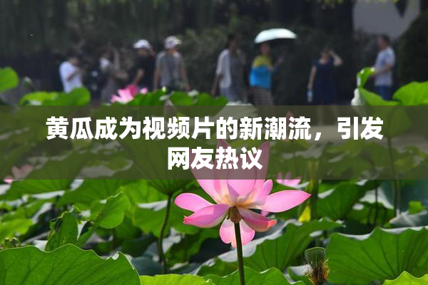 黄瓜成为视频片的新潮流，引发网友热议