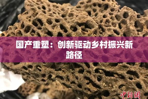 国产重塑：创新驱动乡村振兴新路径