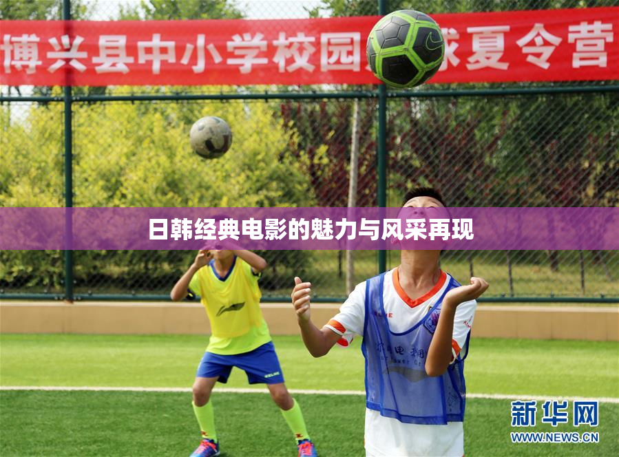 日韩经典电影的魅力与风采再现