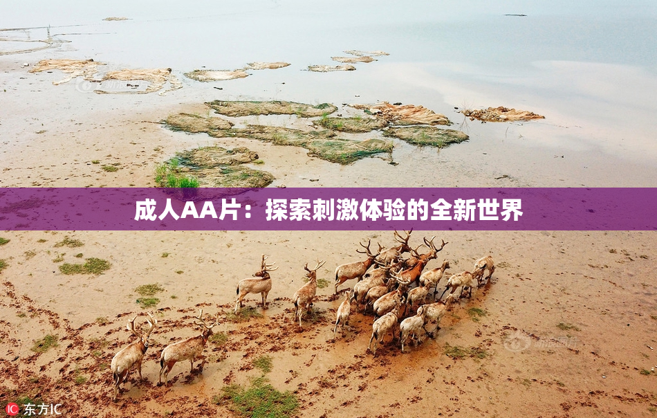 成人AA片：探索刺激体验的全新世界