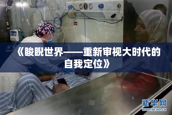 《睃睨世界——重新审视大时代的自我定位》