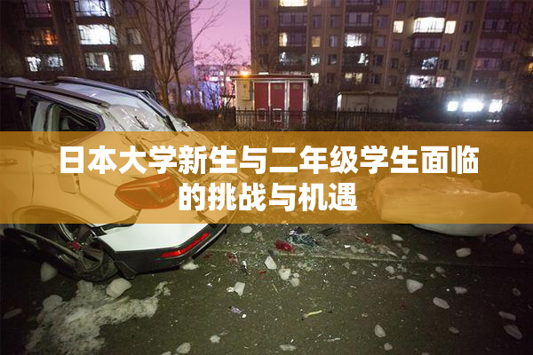 日本大学新生与二年级学生面临的挑战与机遇
