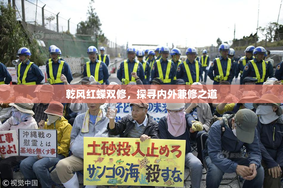乾风红蝶双修，探寻内外兼修之道