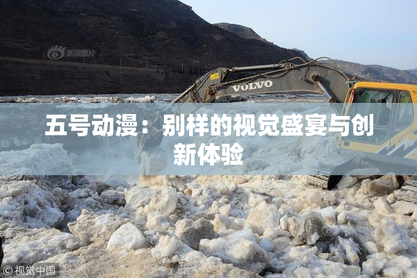 五号动漫：别样的视觉盛宴与创新体验