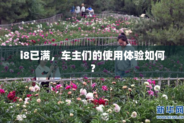 i8已满，车主们的使用体验如何？