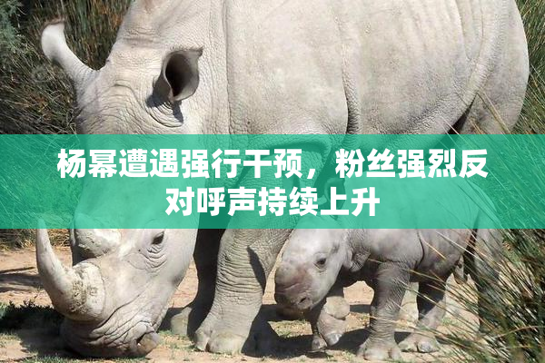 杨幂遭遇强行干预，粉丝强烈反对呼声持续上升