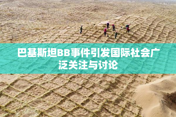 巴基斯坦BB事件引发国际社会广泛关注与讨论