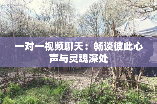 一对一视频聊天：畅谈彼此心声与灵魂深处