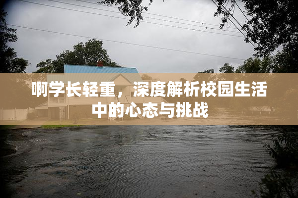 啊学长轻重，深度解析校园生活中的心态与挑战