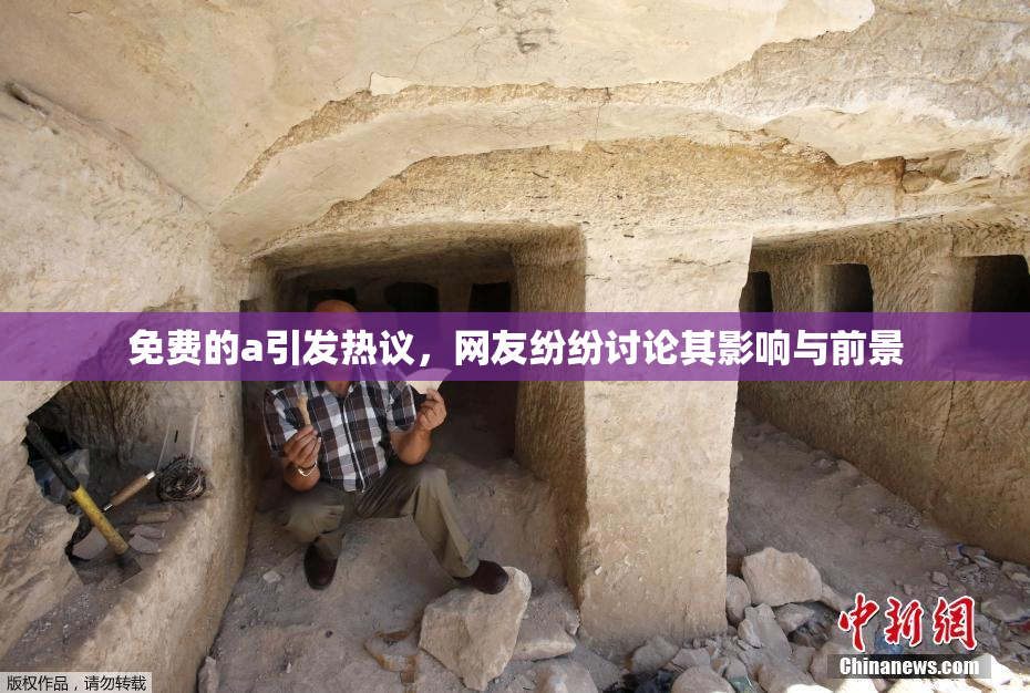免费的a引发热议，网友纷纷讨论其影响与前景