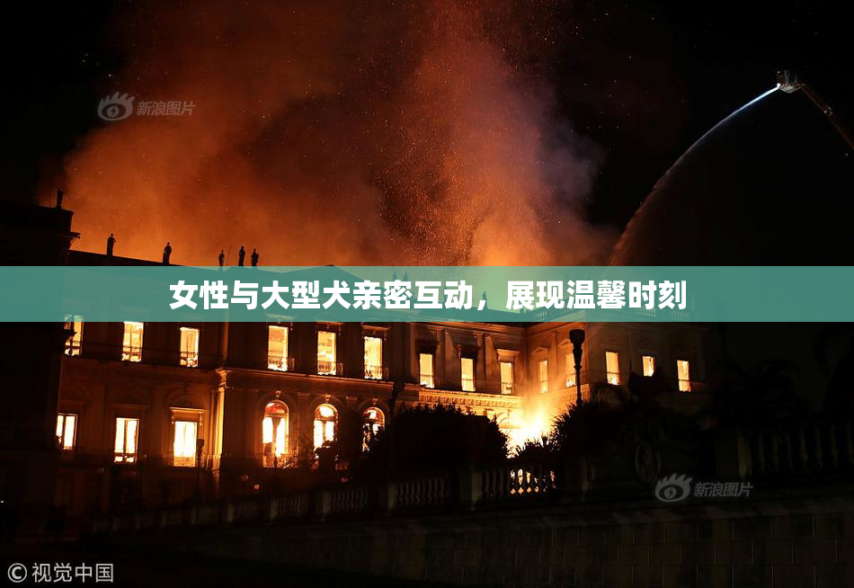 女性与大型犬亲密互动，展现温馨时刻