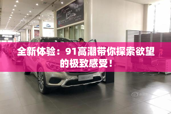 全新体验：91高潮带你探索欲望的极致感受！