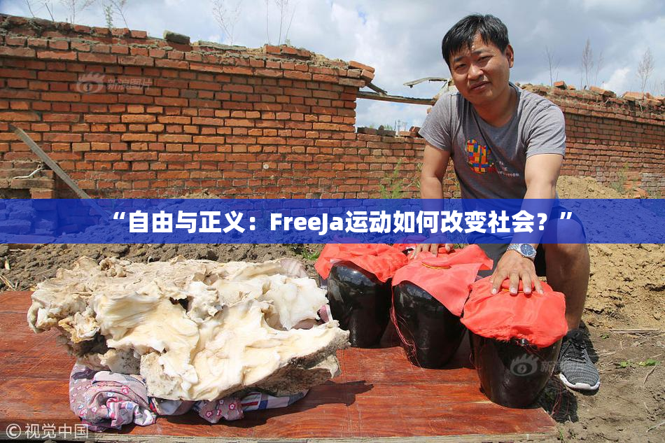 “自由与正义：FreeJa运动如何改变社会？”