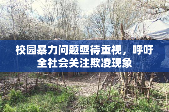 校园暴力问题亟待重视，呼吁全社会关注欺凌现象